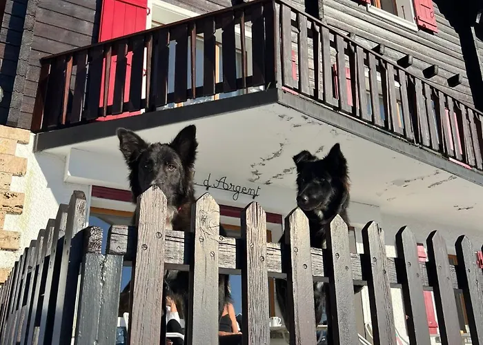 Le Nid D'argent - Dans La Nature 木屋 *